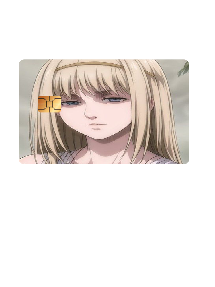 Attack on Titan Credit Card Skins